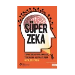 Süper Zeka - Yapay Zeka Uygulamaları, Tehlikeler Ve Stratejiler