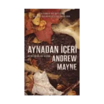 Aynadan İçeri