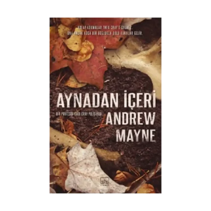 Aynadan İçeri