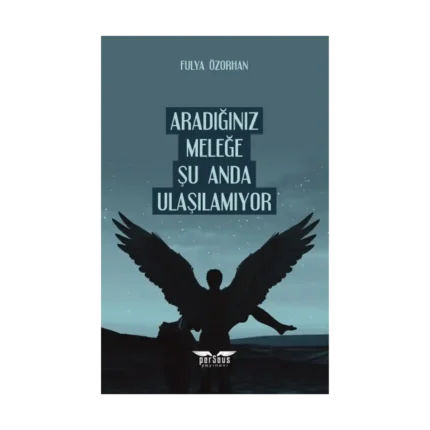 Aradığınız Meleğe Şu Anda Ulaşılamıyor