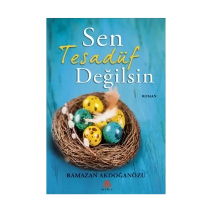 Sen Tesadüf Değilsin