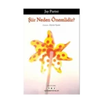 Şiir Neden Önemlidir?