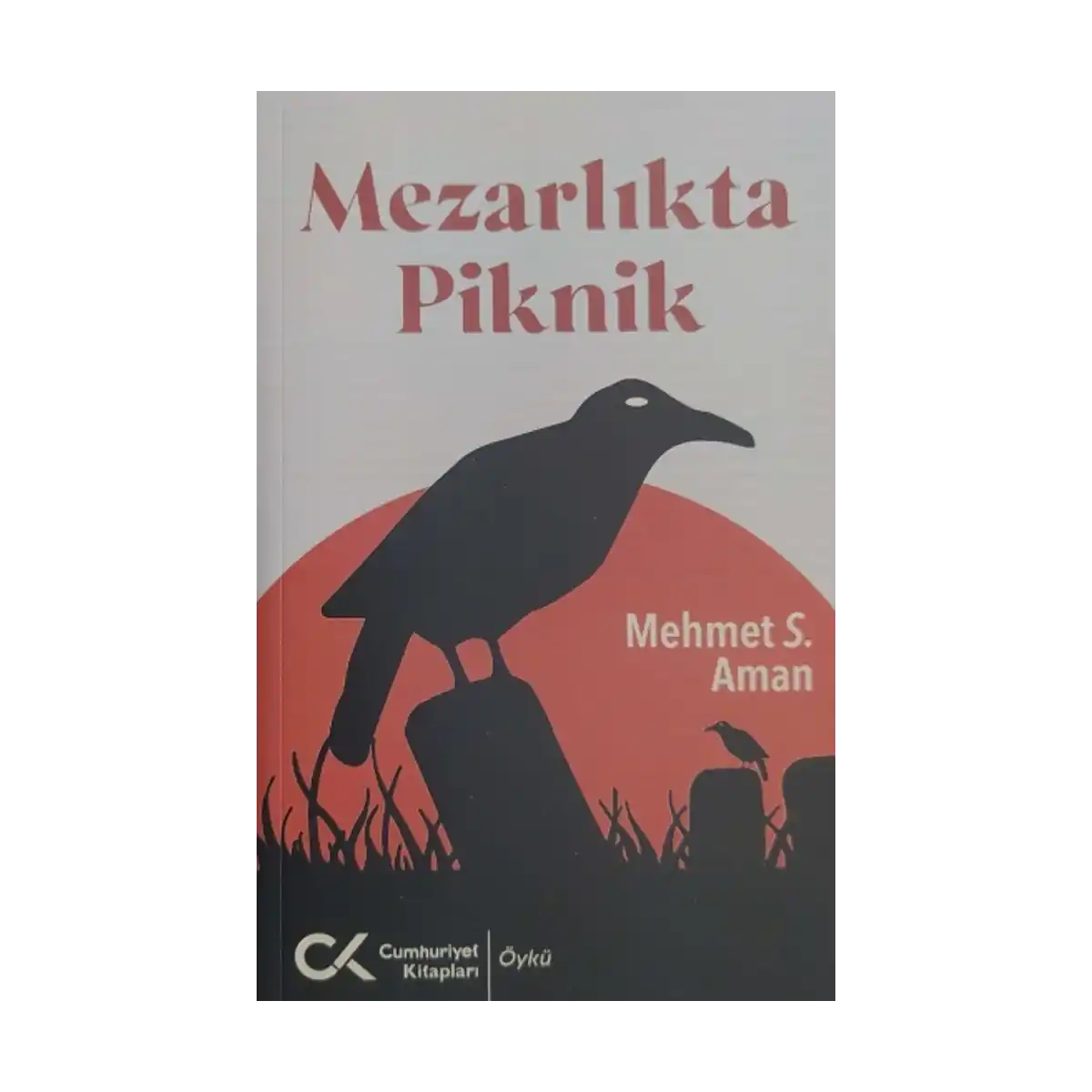 88818-mezarlikta-piknik-1-1.webp Mezarlıkta Piknik - Görsel 1