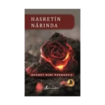 Hasretin Narında