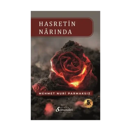 Hasretin Narında