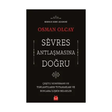 Sevres Antlaşmasına Doğru