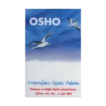 Martıları Seven Adam