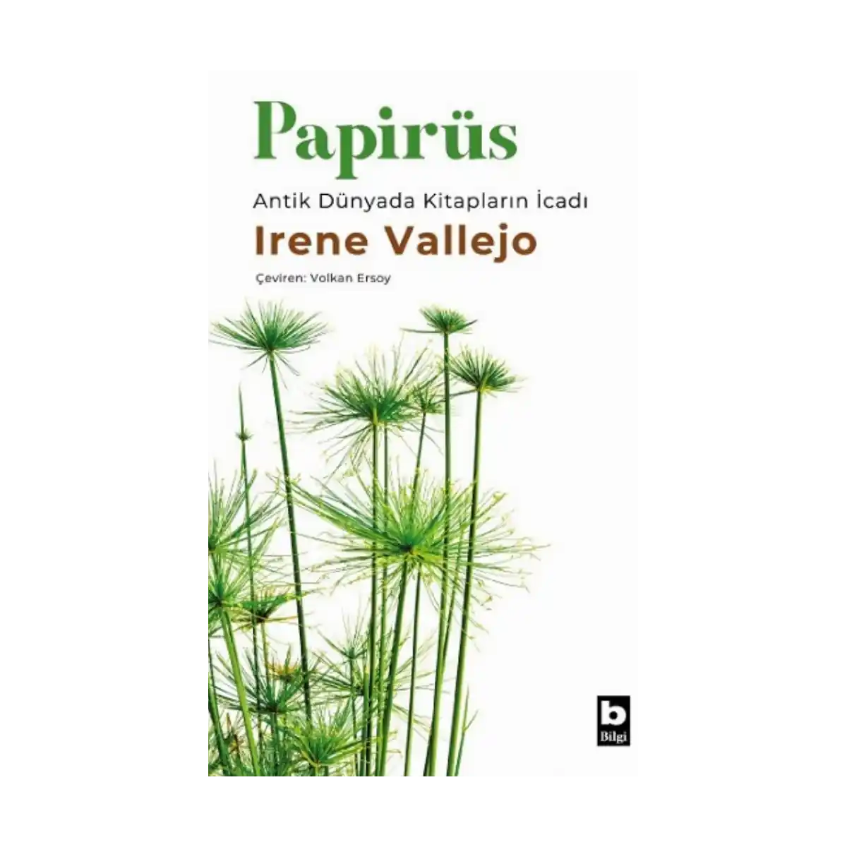 8c616-papirus-1-1.webp Papirüs - Görsel 1