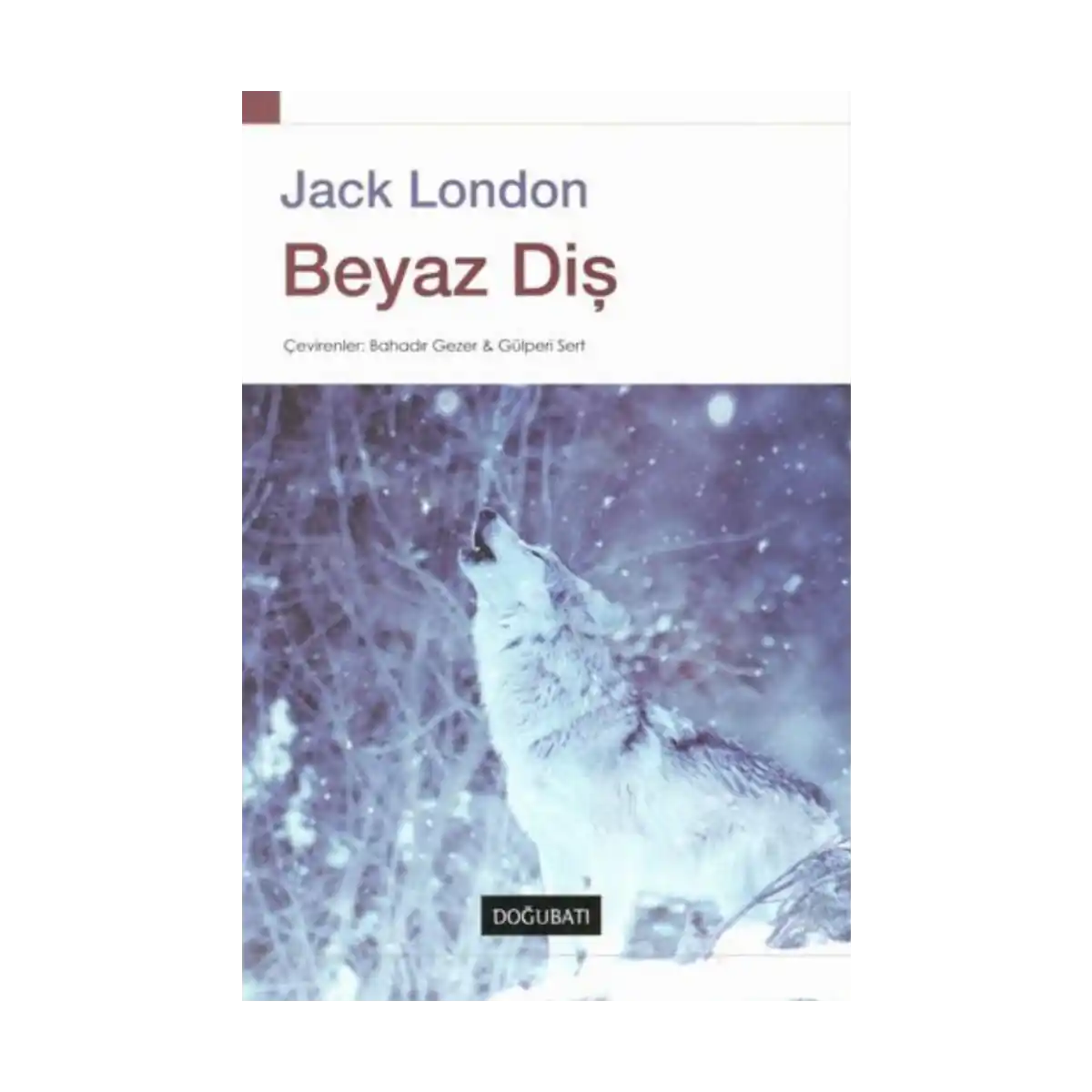 8e8d2-beyaz-dis-1-1.webp Beyaz Diş - Görsel 1