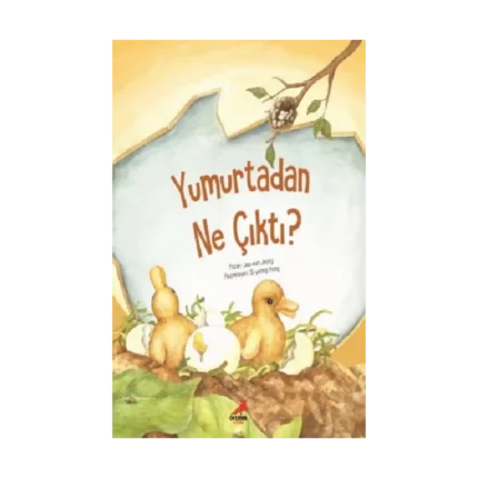 Yumurtadan Ne Çıktı?