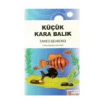 Küçük Kara Balık