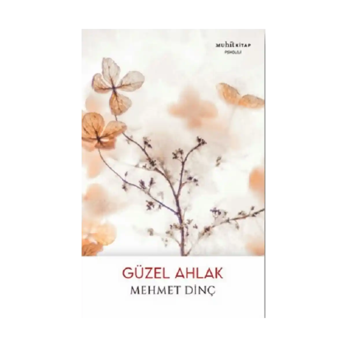 917e2-guzel-ahlak-1-1.webp Güzel Ahlak - Görsel 1