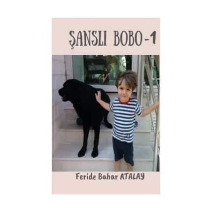 Şanslı Bobo - 1