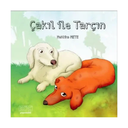 Çakıl İle Tarçın