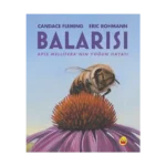 Balarısı