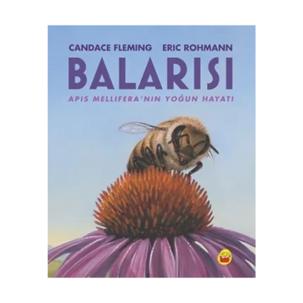 Balarısı