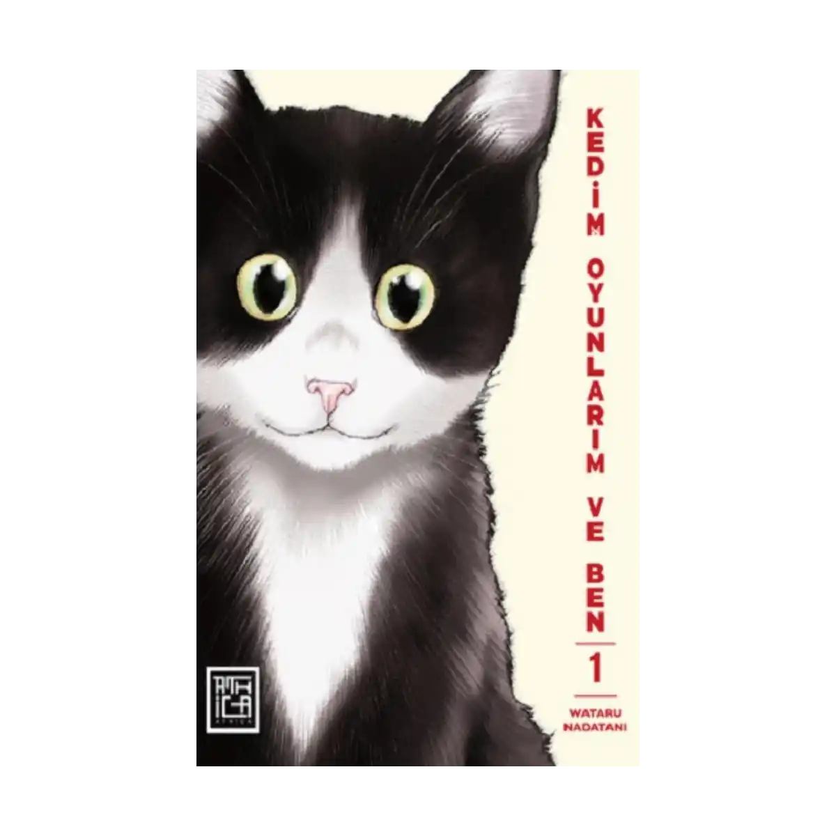 98c48-kedim-oyunlarim-ve-ben-1-1-1.webp Kedim Oyunlarım ve Ben 1 - Görsel 1