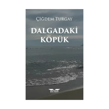 Dalgadaki Köpük