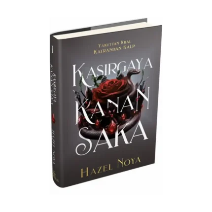 Kasırgaya Kanan Saka 1 (Ciltli)