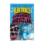 Elektrikız ve Görünmez Hırsızlar