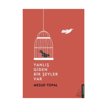 Yanlış Giden Bir Şeyler Var