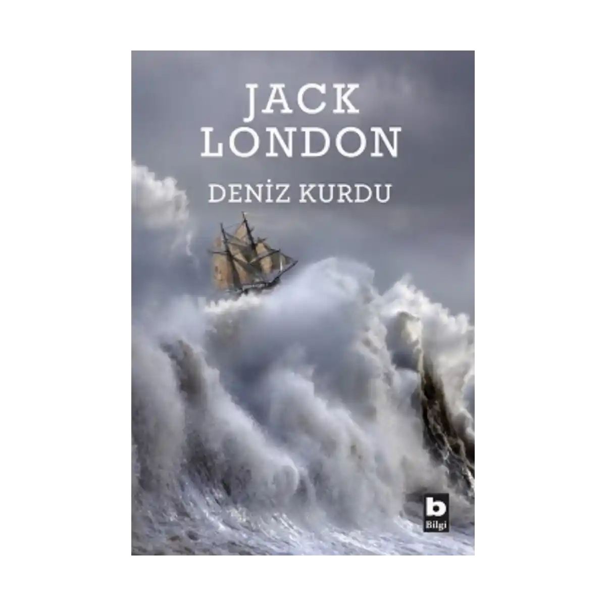 9e070-deniz-kurdu-1-1.webp Deniz Kurdu - Görsel 1