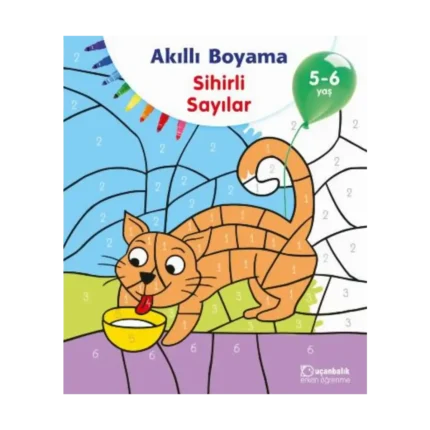 Akıllı Boyama Sihirli Sayılar 5-6 Yaş
