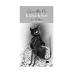 Kara Kedi