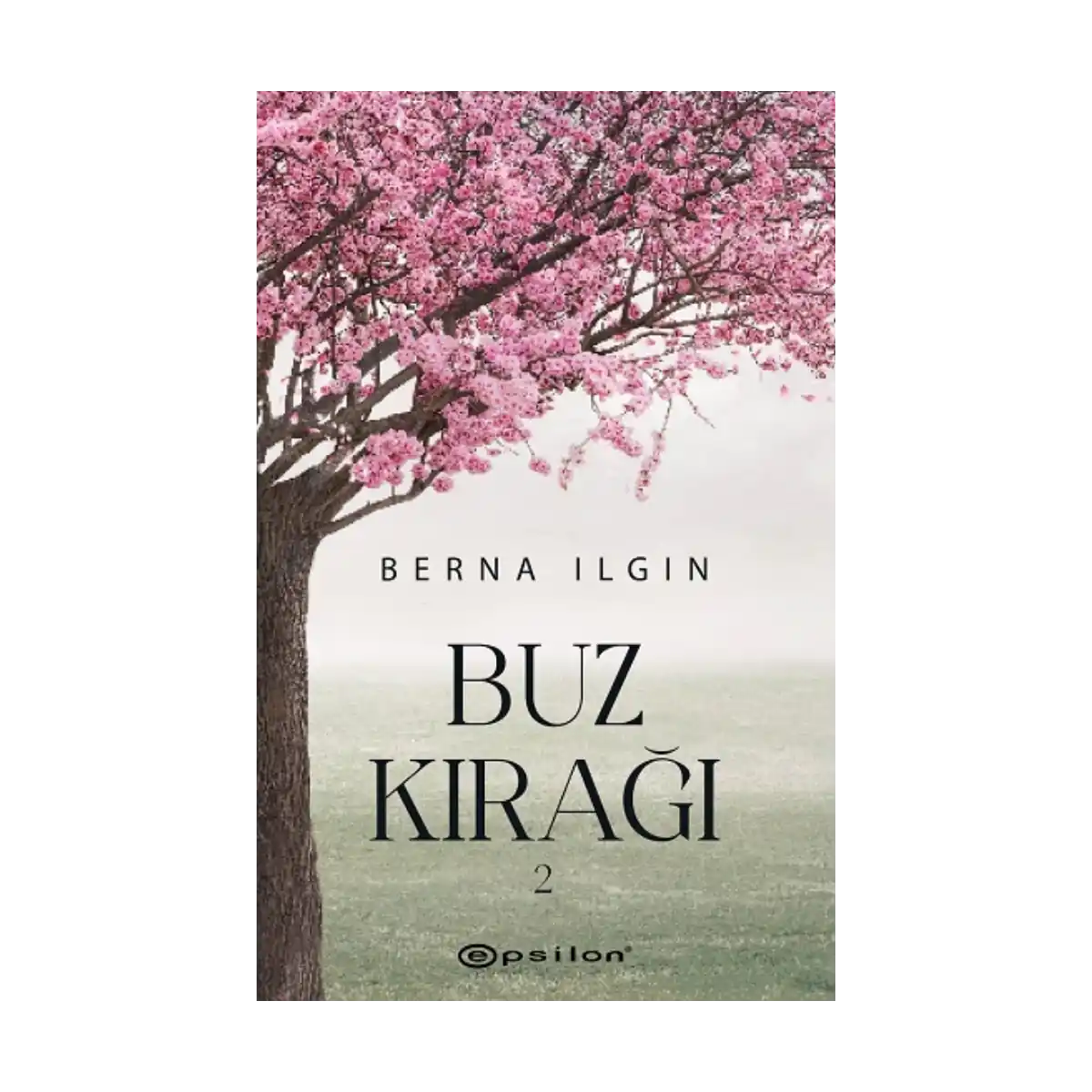 9f2a6-buz-kiragi-2-1-1.webp Buz Kırağı 2 - Görsel 1