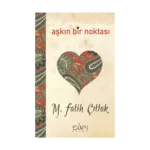 Aşkın Bir Noktası