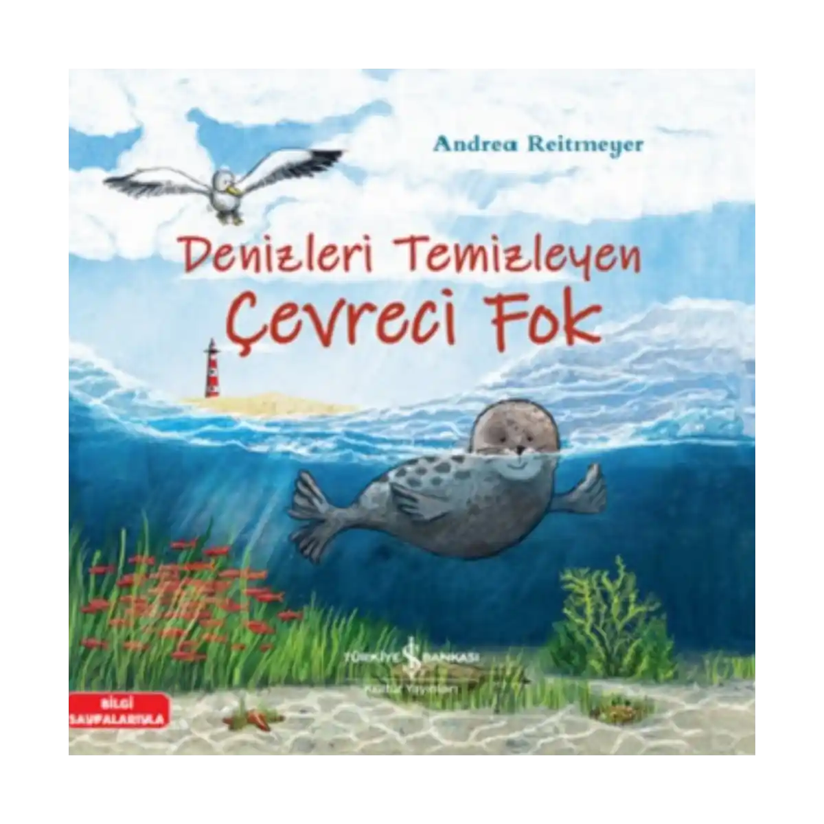 a08f4-denizleri-temizleyen-cevreci-fok-1-1.webp Denizleri Temizleyen Çevreci Fok - Görsel 1