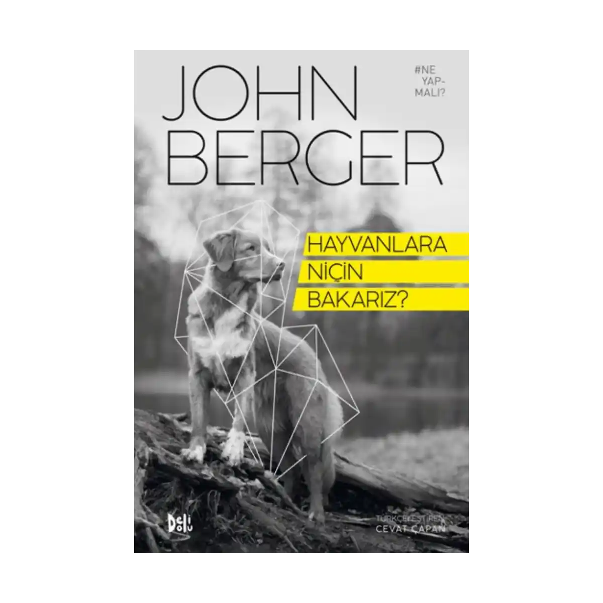 a1935-hayvanlara-nicin-bakariz-1-1.webp Hayvanlara Niçin Bakarız? - Görsel 1