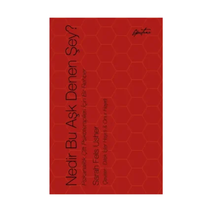 Nedir Bu Aşk Denen Şey?