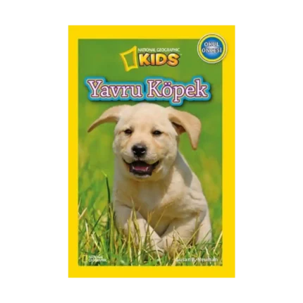 Yavru Köpek