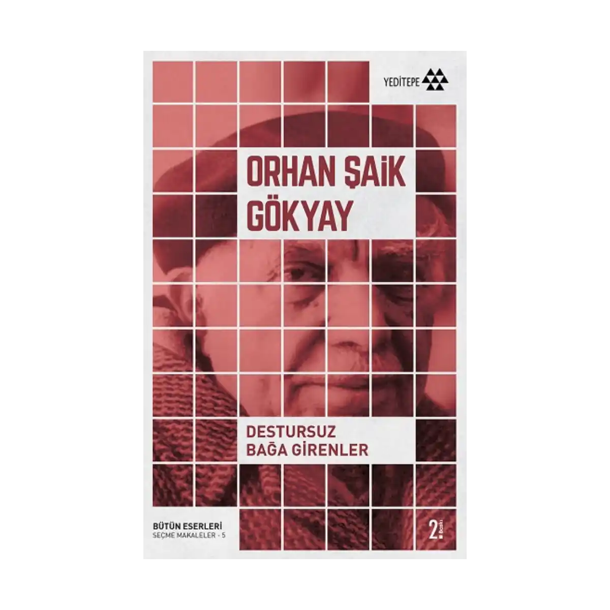 a397b-destursuz-baga-girenler-1-1.webp Destursuz Bağa Girenler - Görsel 1