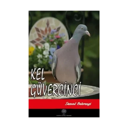 Kel Güvercinci