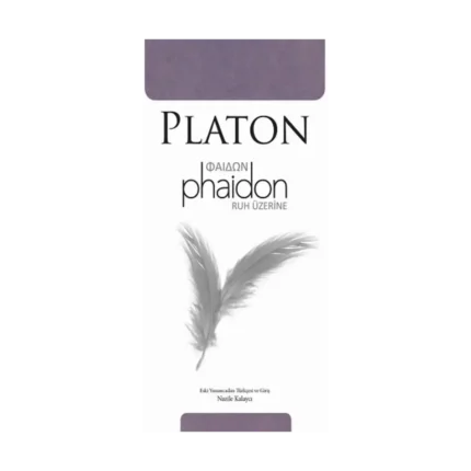 Phaidon - Ruh Üzerine