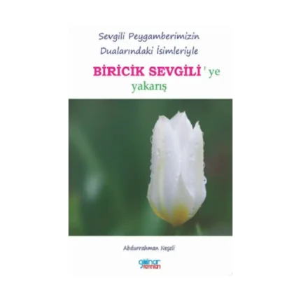 Biricik Sevgili