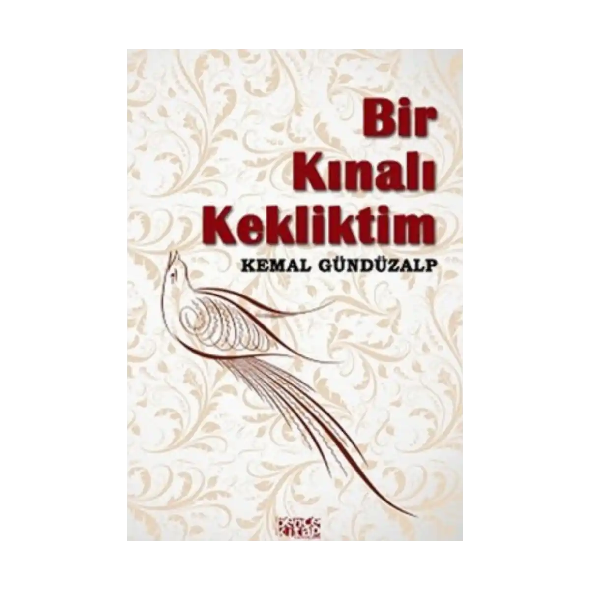 a4f37-bir-kinali-kekliktim-1-1.webp Bir Kınalı Kekliktim - Görsel 1