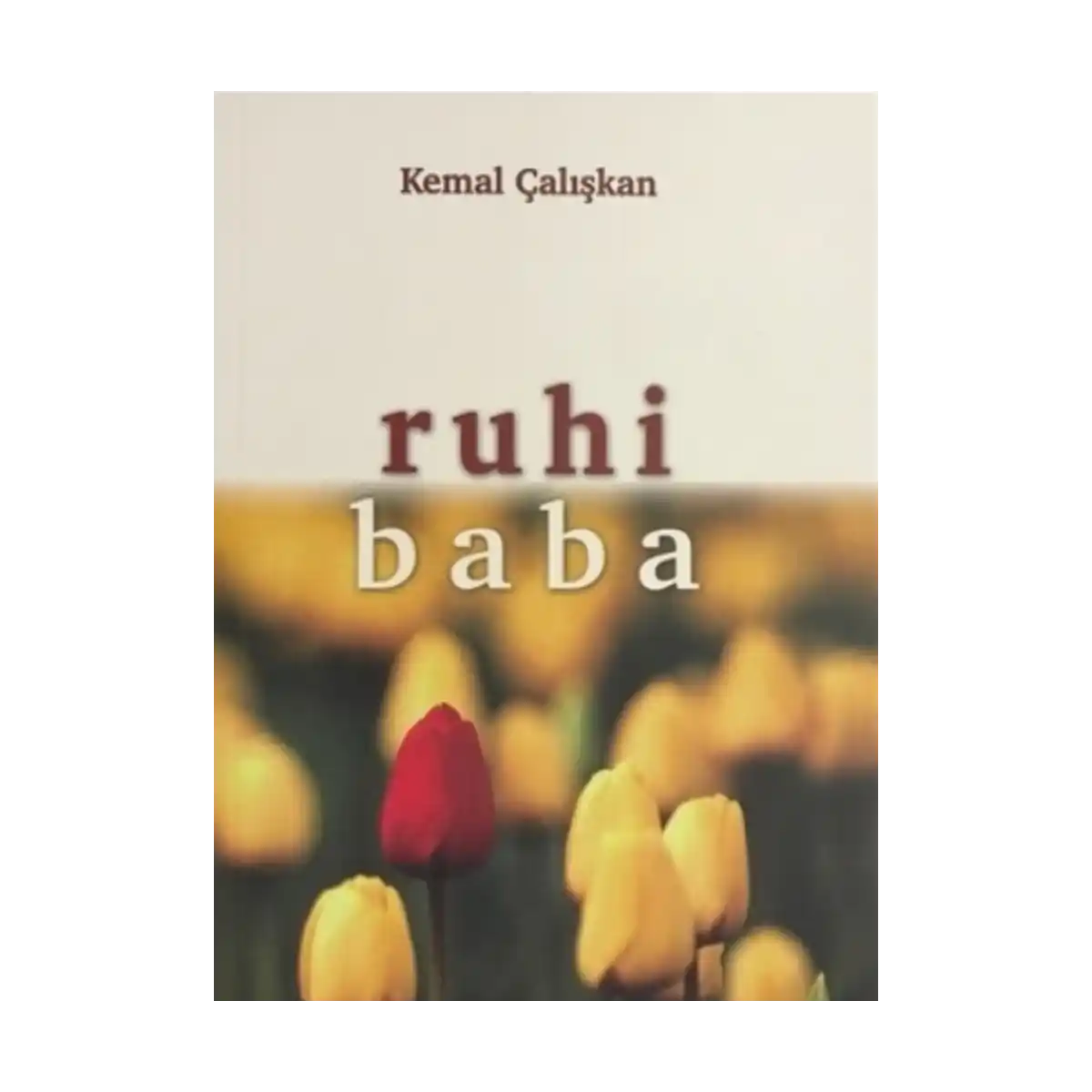 a5842-ruhi-baba-1-1.webp Ruhi Baba - Görsel 1
