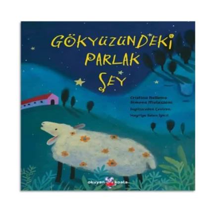 Gökyüzündeki Parlak Şey