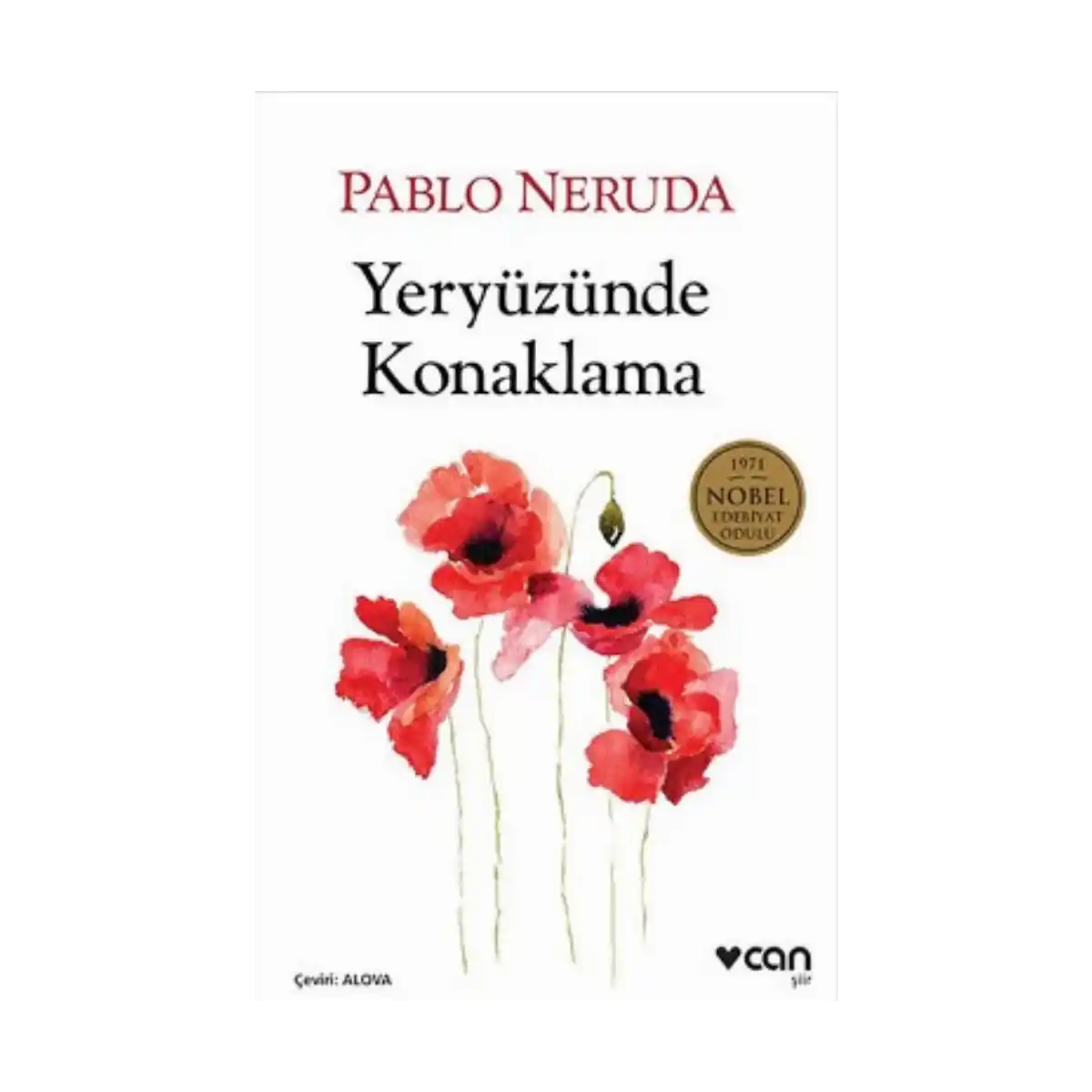 a76ab-yeryuzunde-konaklama-1-1.webp Yeryüzünde Konaklama - Görsel 1
