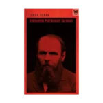 Dostoyevski Politikasının Sorunları