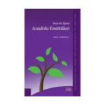 Böyle Bir Eğitim Anadolu Enstitüleri