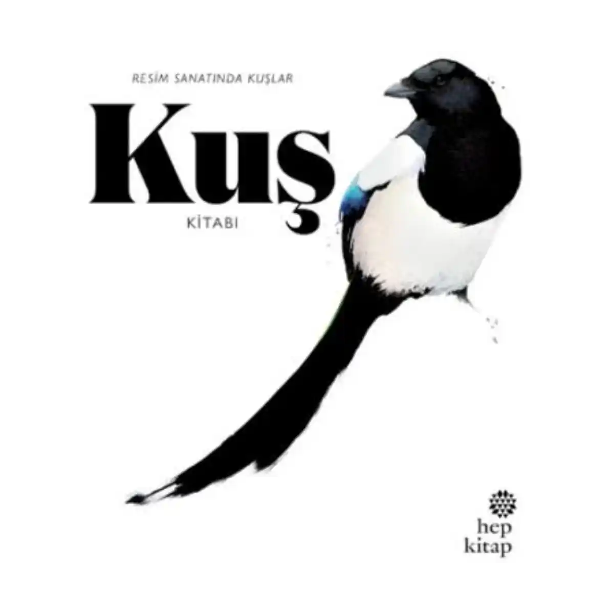 a9760-kus-kitabi-resim-sanatinda-kuslar-1-1.webp Kuş Kitabı: Resim Sanatında Kuşlar - Görsel 1