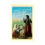 Çingene (Ciltli)