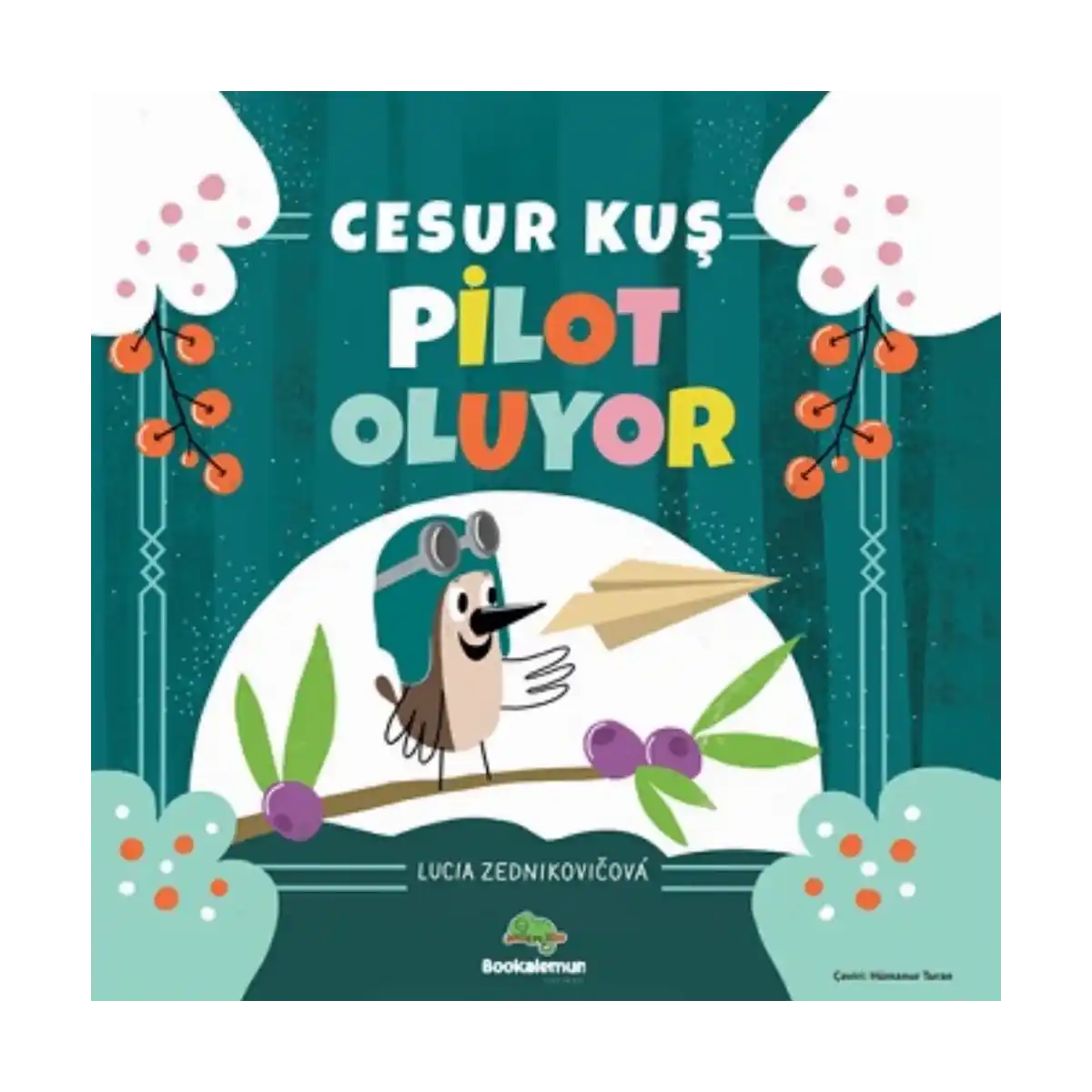 ab866-cesur-kus-pilot-oluyor-1-1.webp Cesur Kuş Pilot Oluyor - Görsel 1