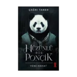 Hüzünlü Bir Ponçik