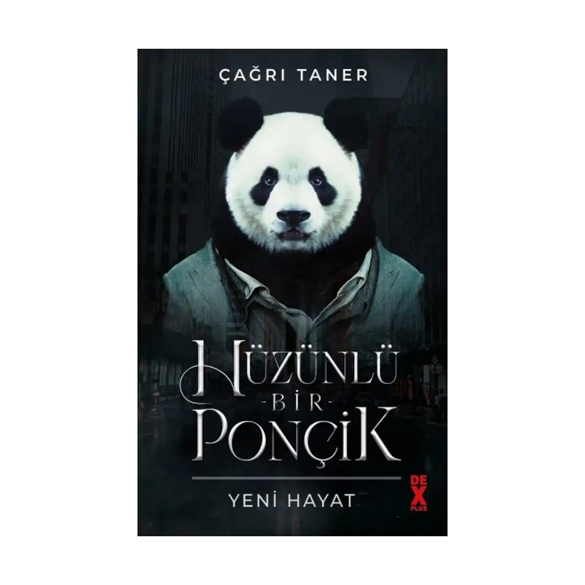 abcec-huzunlu-bir-poncik-1-1.webp Hüzünlü Bir Ponçik - Görsel 1