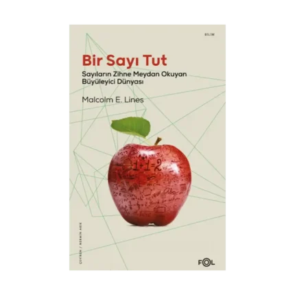 Bir Sayı Tut